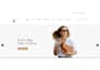 create a sleek and user friendly website